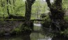 Village Bridge